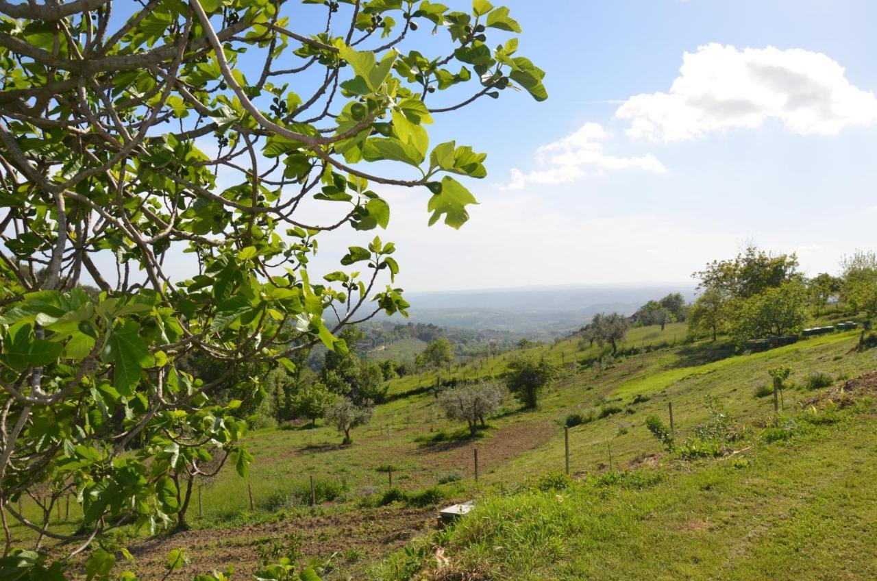 Casa Franceschini Villa Poggio Mirteto Buitenkant foto