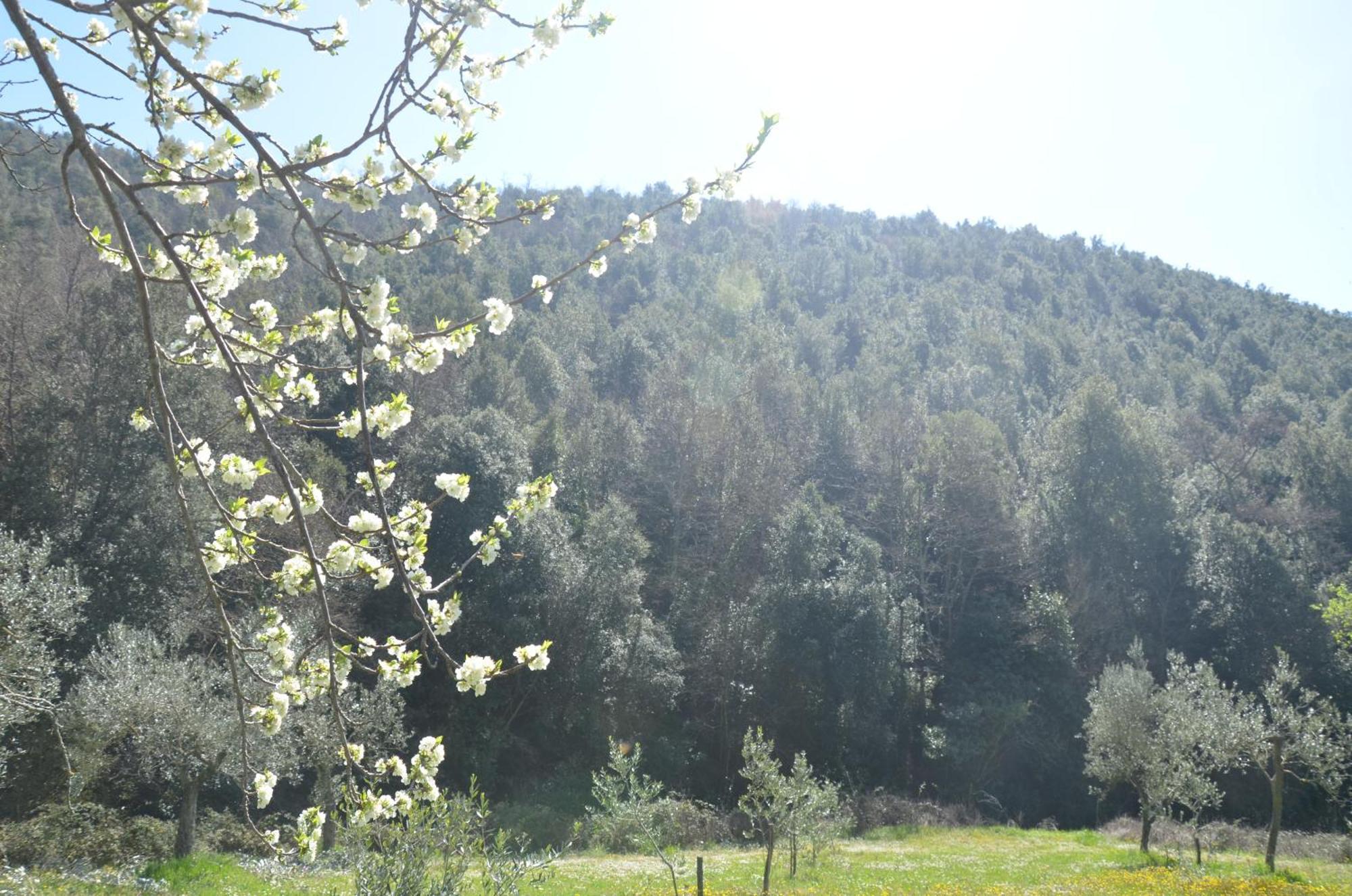 Casa Franceschini Villa Poggio Mirteto Buitenkant foto